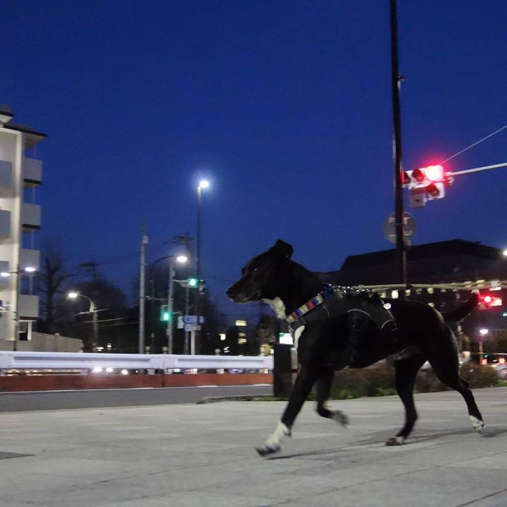 49612c44 95ee 4e83 ab61 bb2f4e8b4b39 1648120177459