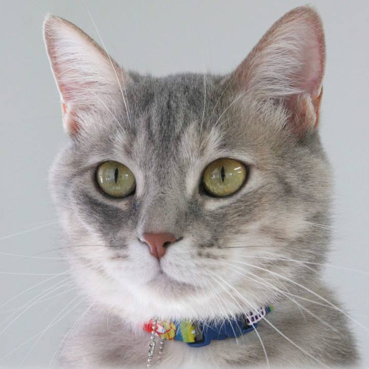 4961330d 5f8f 4ee7 9604 c36900d4a790 1555316265227