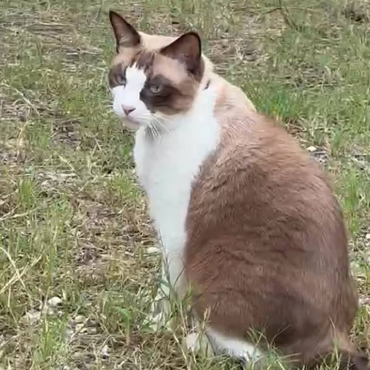 49616877 242b 42a3 98d2 8e9e94cc9794 1760500043265