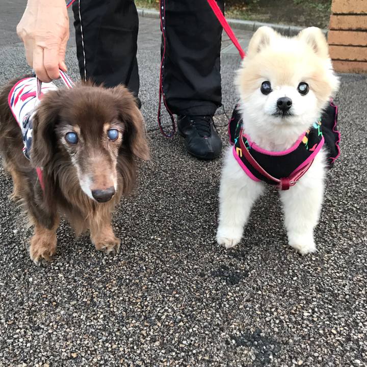 49618131 9a48 471d b649 c1b1ebd50692 1578902698152