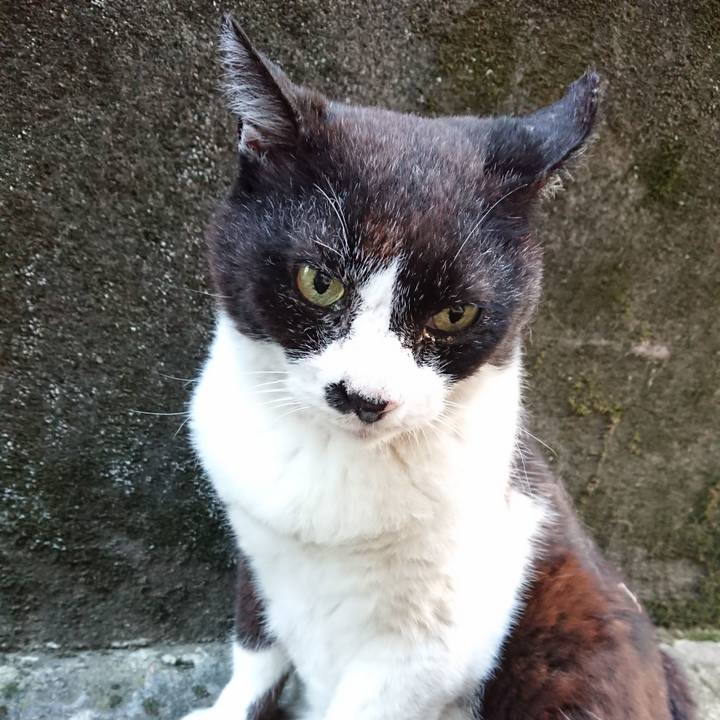 49618749 60da 43b0 be7d 54914a1a828b 1656667115685