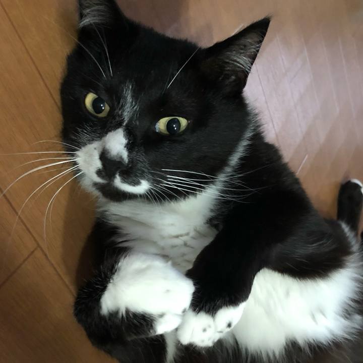 4961915b 6ce9 4f11 b6a7 7d9c36faf48e 1627357075530