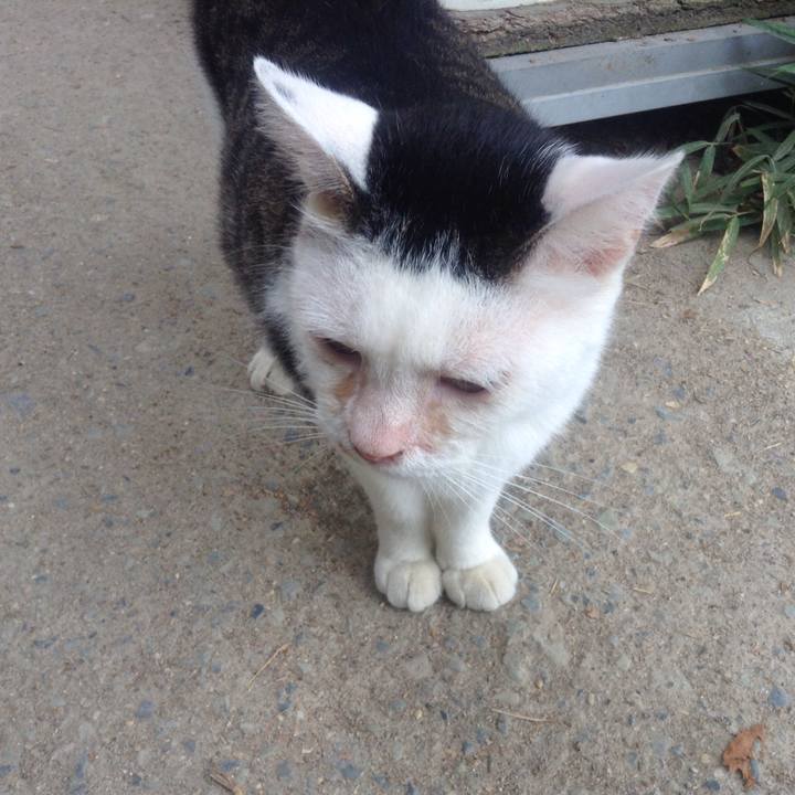 49619964 6c85 4a5a 9302 502471dbfc36 1534060805996