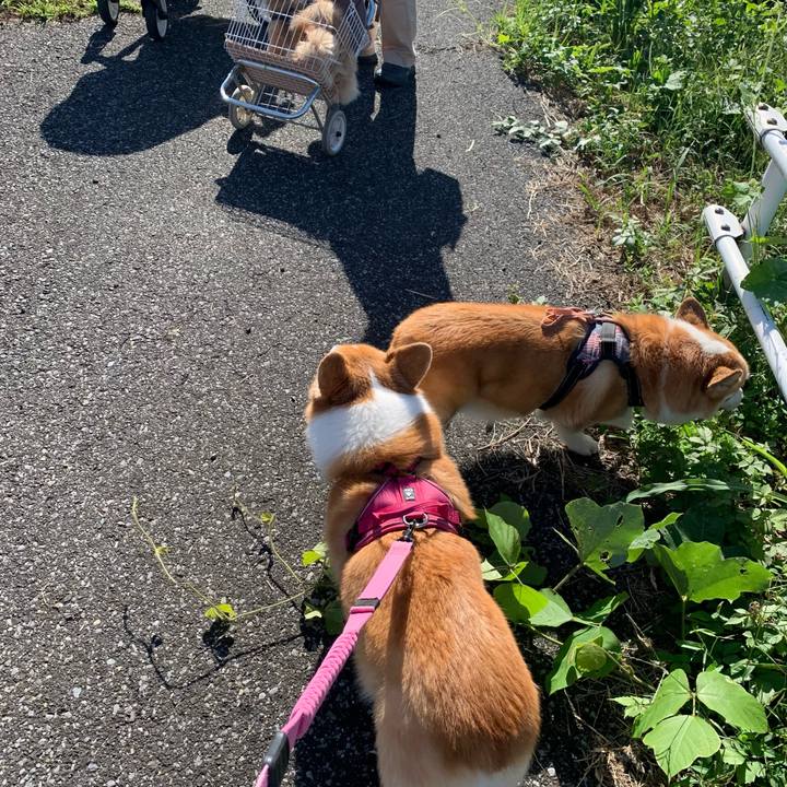 4961b551 12b9 4e22 aaf6 68d0a9d54102 1696297089703