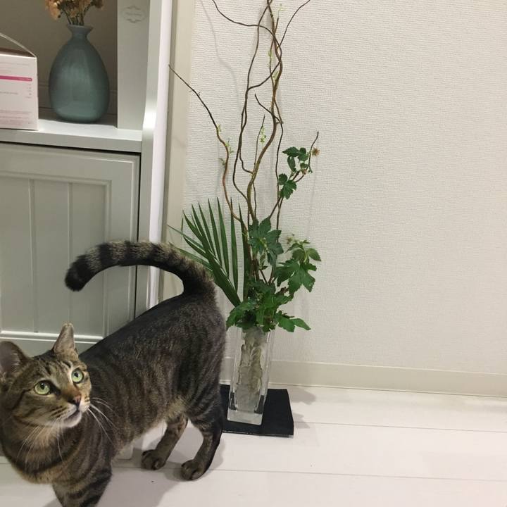 4961e2aa f26d 41be a1bd 82ee6634ddd6 1556453639732