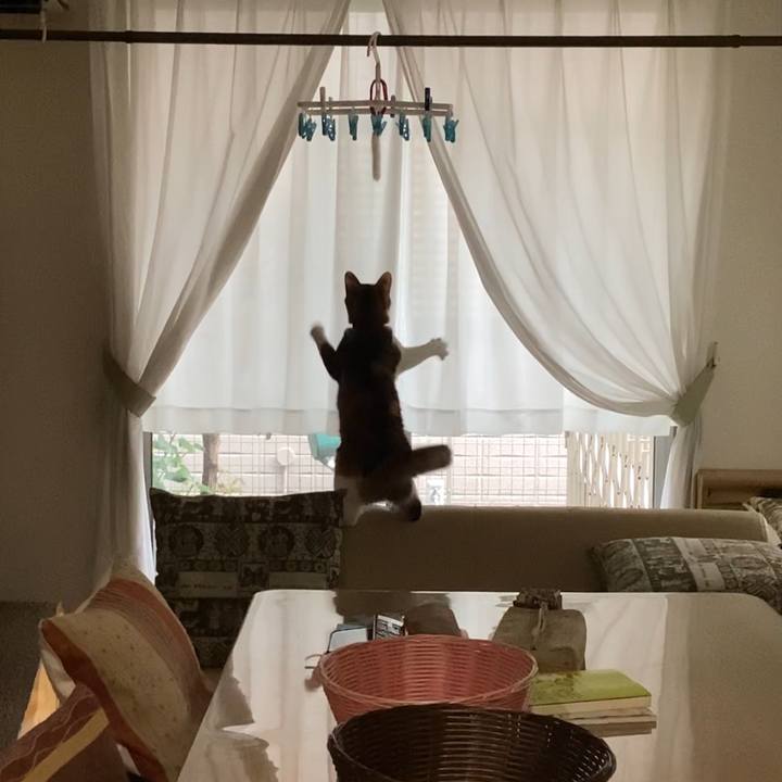 4961e601 f795 4f7f bc47 dd52c3bcf51d 1662594861515