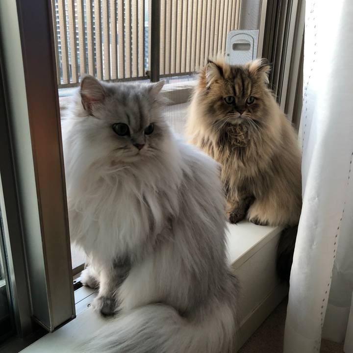 49623309 7571 404e 8cf7 bb2978ec6995 1514100085305