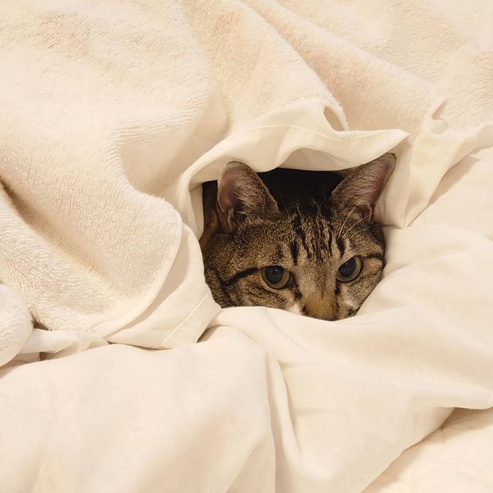 49624f82 0669 43e6 9f28 45db8b162356 1634601729738