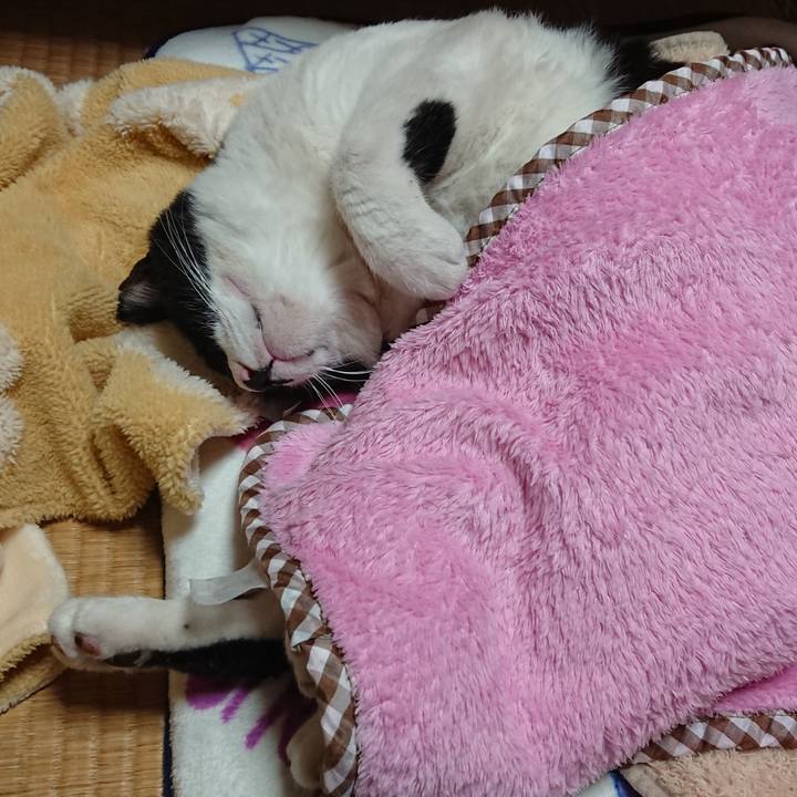 496268c3 4888 4a3f 83a3 0a2381048dbb 1635343583800