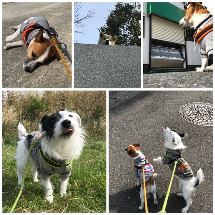 49628a47 8960 452c a76a 7ef7208ace1a 1523407410384