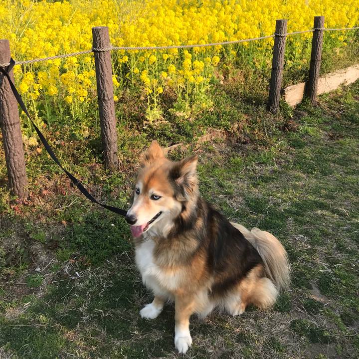 49629491 3765 4f94 bbe6 11113cc25d09 1553096330405