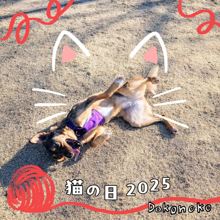 4962ed7a e6f2 4f1b 918e 0fb9d08c25fe 1740185739538