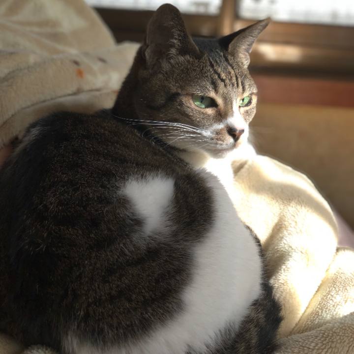 49635e00 99e8 45b6 bd94 8667dc1a4a81 1544578989060