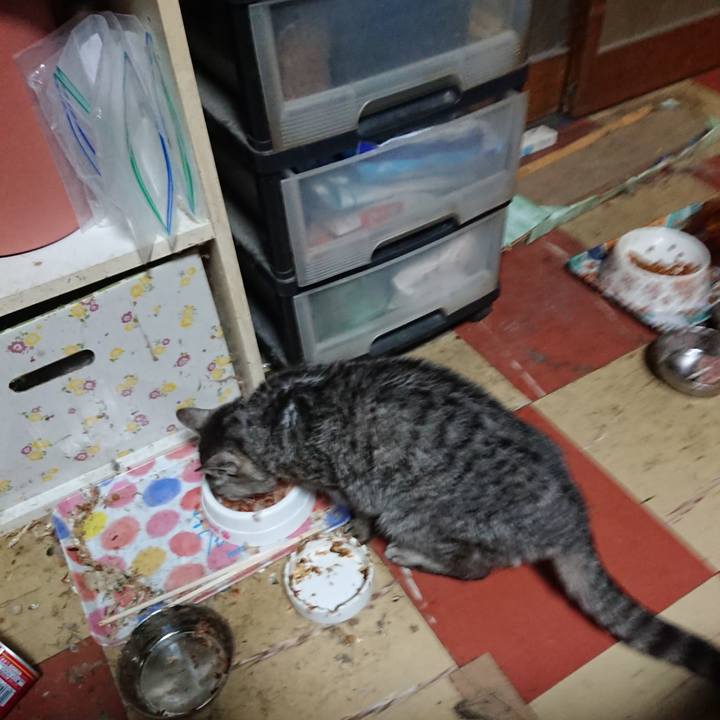 49637fec 4fd0 4220 b2de fcf31670fadc 1580380453055