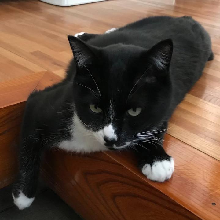 4963991c 873b 4a13 90c8 b5831711c4a9 1678074480950