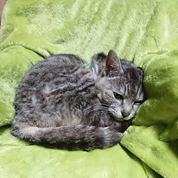 4963ac8e 0dbd 490b 8b16 697006c6aab4 1587547420268