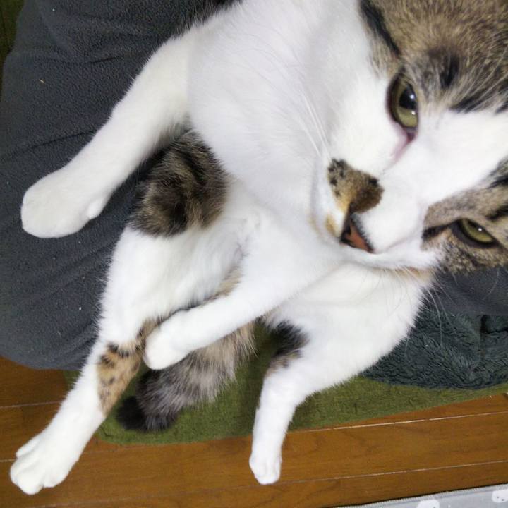 4963f43a ec8b 4465 a4ca b4efe0b4b296 1647860009681