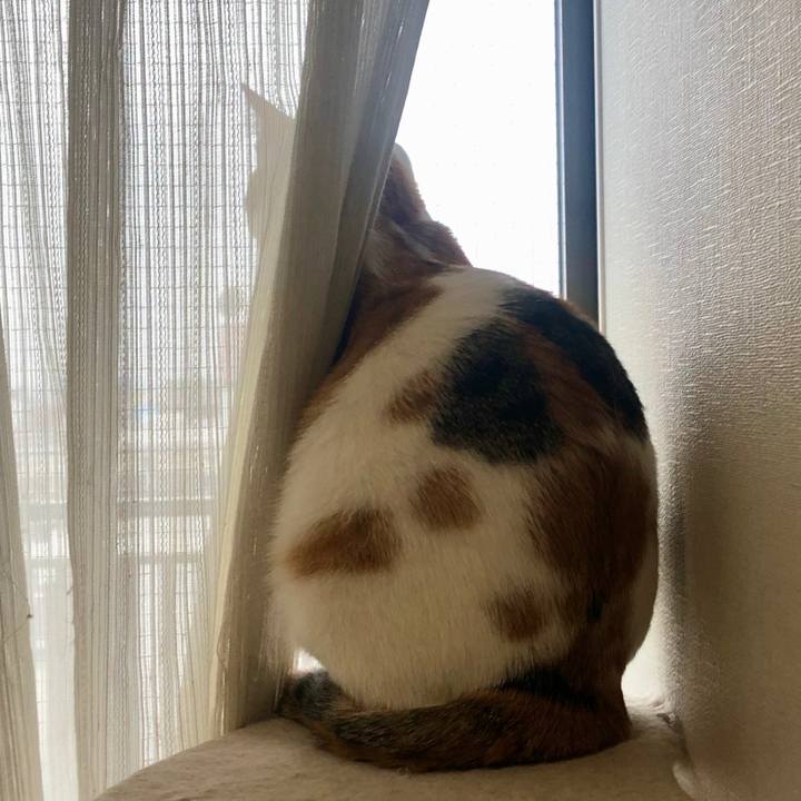 4964072a b3db 4c05 97ba 0c7990deb1c3 1585611150872