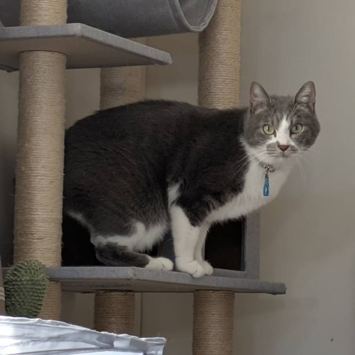 49641374 b6eb 42f7 999b f8d0283c7d41 1766390829253