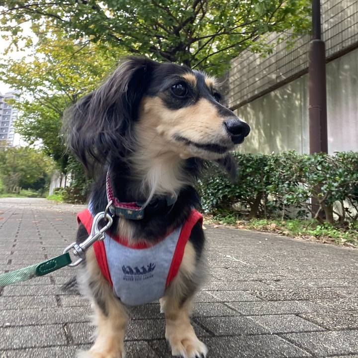 49641f87 8c15 4cb6 973b 9df21ca27b47 1760323459439