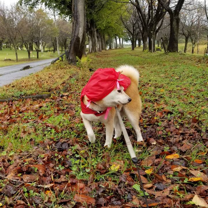 49643e17 b3d6 4868 8cf7 e8b4de2851b5 1634447515569