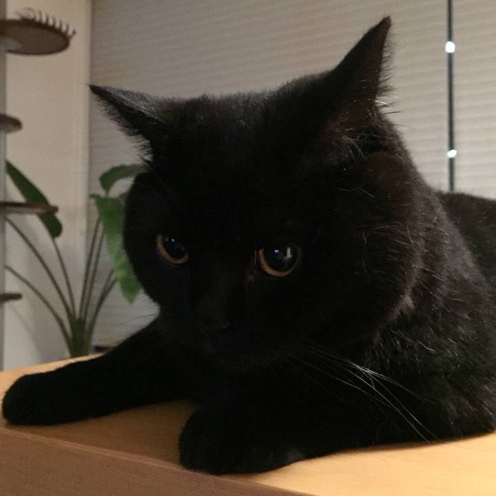 4964526c 9e9e 42a7 b891 abd9276b805e 1565953891147