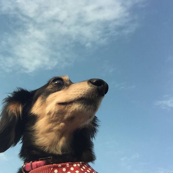 49645adf 3c23 4133 a4a5 b486d8d08504 1526892305389