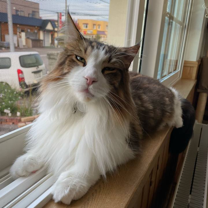 49646b34 0bfa 4247 891a 63a4dab3ad25 1665954858221