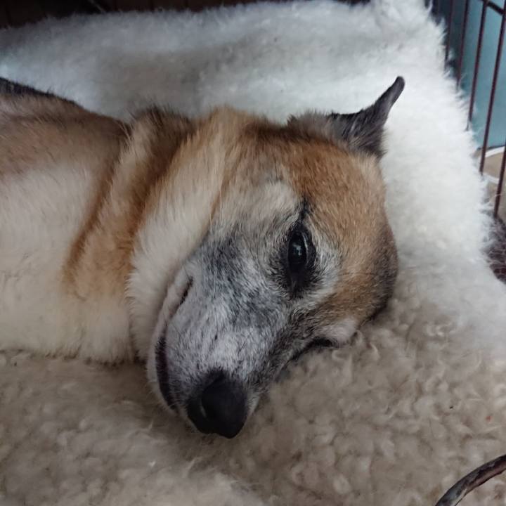 49646f19 48cf 4363 8acf c51cd1d9f07a 1568471094404