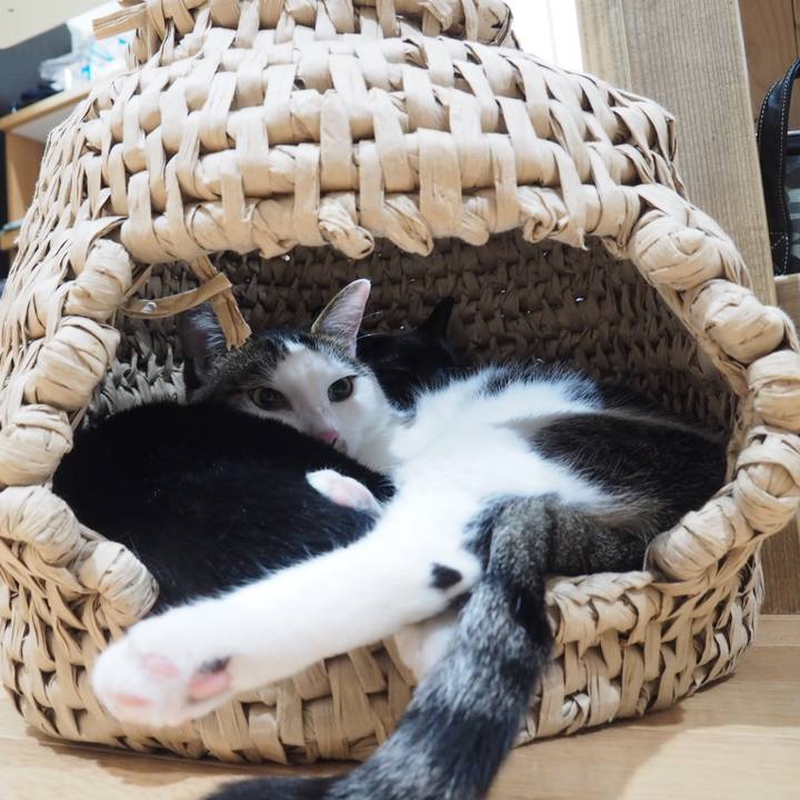 49648560 cf9b 47b5 887e 014fbd007d53 1558495193608