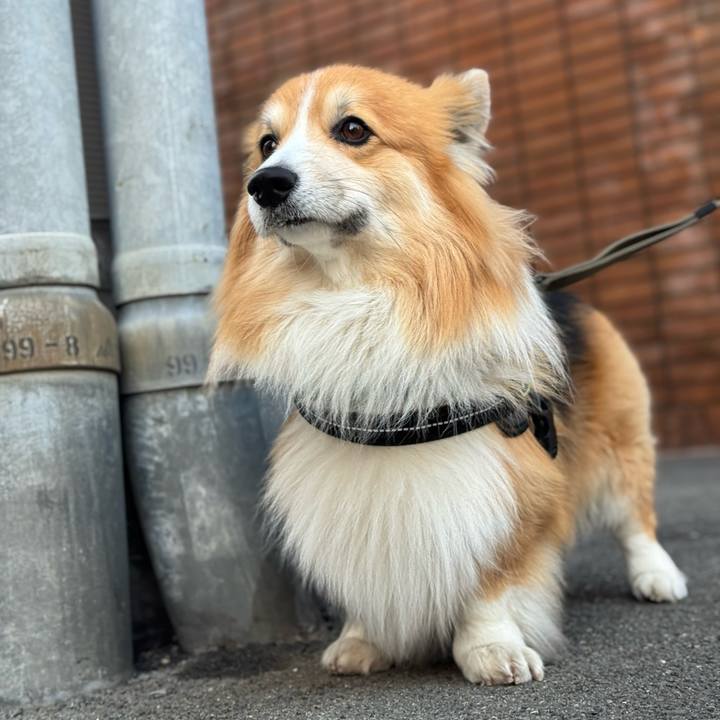 496492d6 797a 4762 8834 b946a151c8da 1768605208448