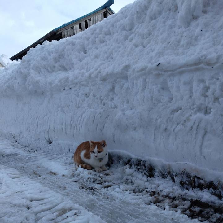 4964cf64 6fbe 4e24 b422 9235e3b62473 1738308691689