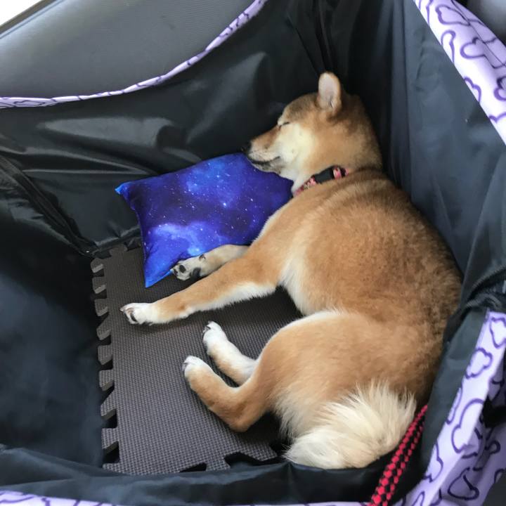 4964d8da f9e1 493b a58b d2efe5adf465 1521443609962