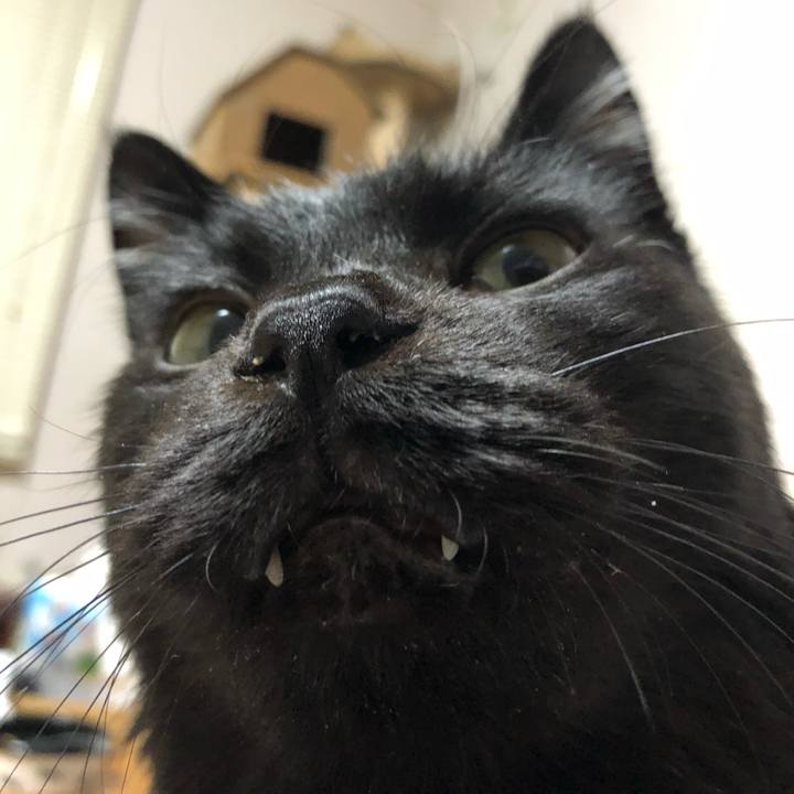 4964ec3d b39d 4a06 bbf8 bb32e609abcb 1611318192217