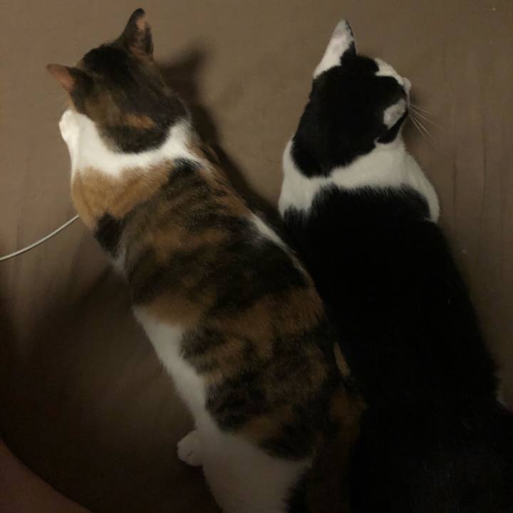 4964f64d adf8 4cf7 8e84 a4bb4064c58c 1592678894098