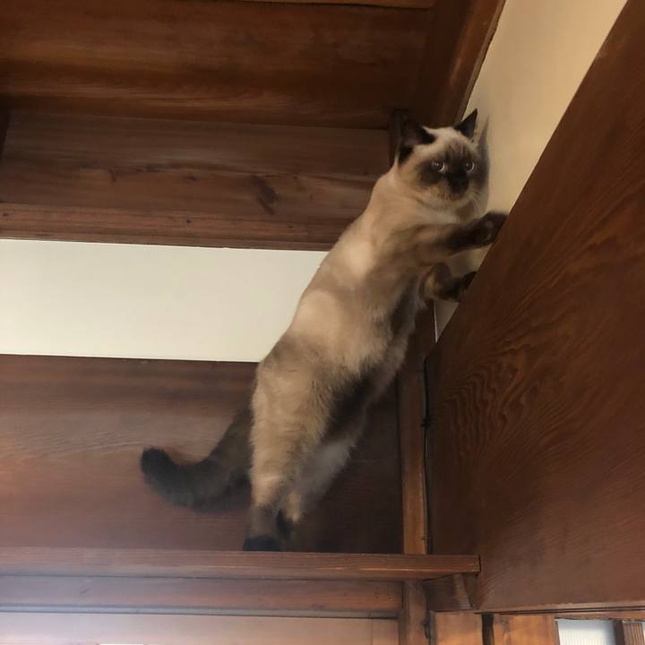 49650314 c857 4cfd 8ed6 229470bb47b6 1598747350375