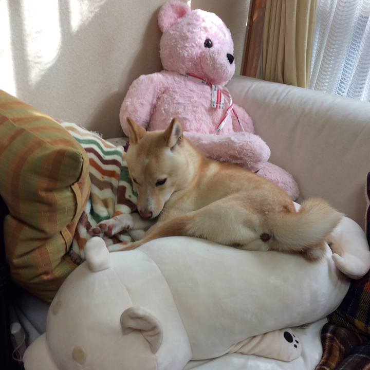 496564bc 0d1b 4cbd 865e 7d165ea9de6c 1510716209033