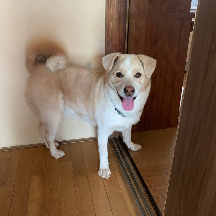 4965945e dba0 491a bac6 fb5ce1284bec 1564529612092