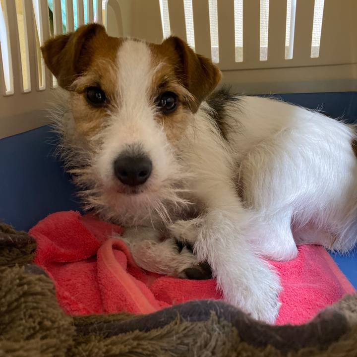 4965add0 1344 453b a176 7db0ce36c4a3 1678621724870