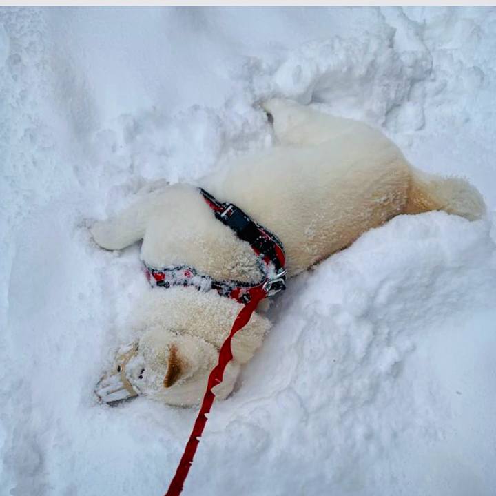 49662388 fdd3 4898 927f 09d5decaf699 1701297158361