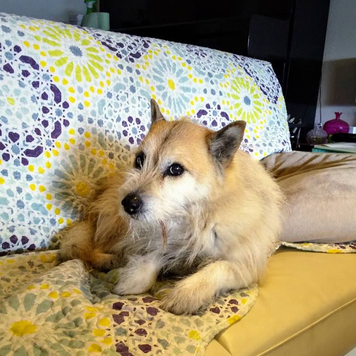 49664341 f286 4db6 aca7 24b56d5e8265 1554777725427