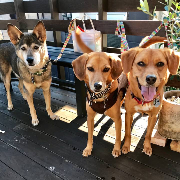 49664af4 9b59 4fd4 97f5 464666e8c89d 1538133242439