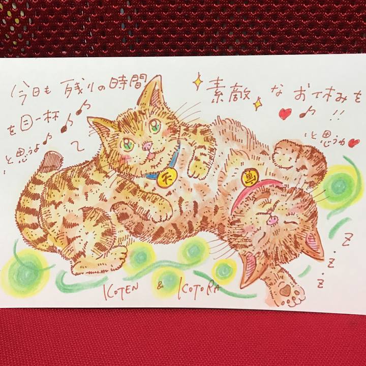 49668381 655f 4078 8c98 0286dc95f659 1563716563525