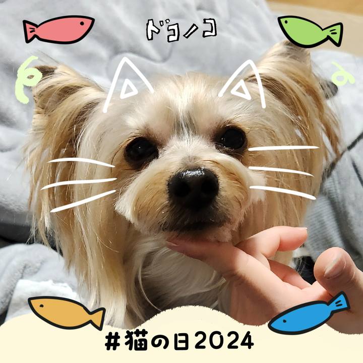 49668fe7 7376 4c73 8fc5 d74b4c61b7e9 1708550354657