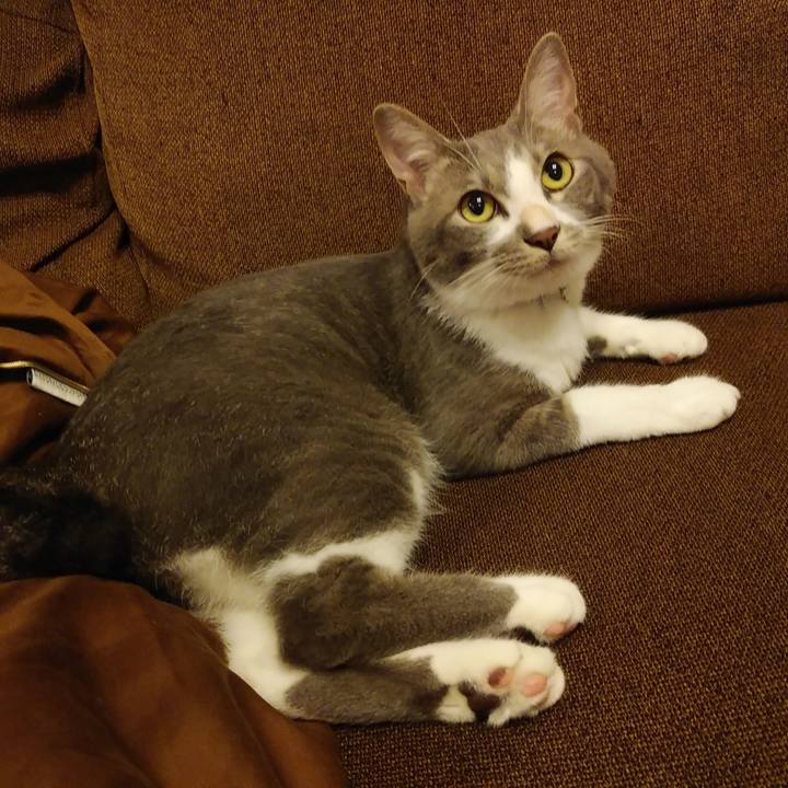 4966b7d1 3da5 4210 89bc a4cdc6882f65 1593523104233