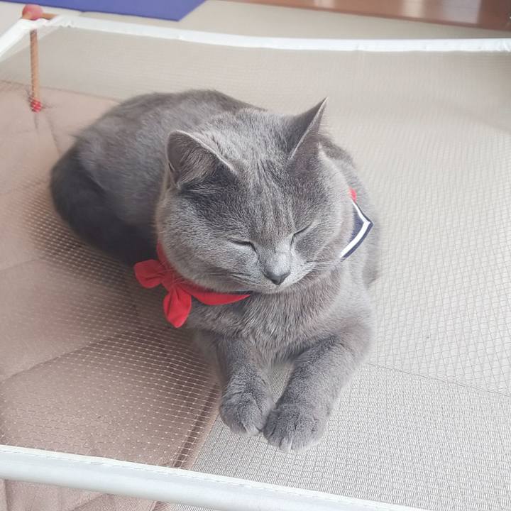 4966bf62 2ff4 4b5e 8461 9172ea0f4434 1543202357888