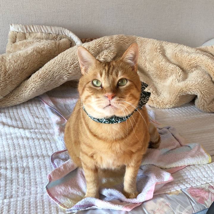 4966ef4f 14e6 4c5b bef7 ac3df5676519 1585223407515