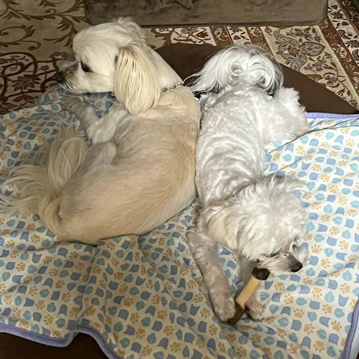 49670260 d809 47cd aced b3633565423d 1718882427067