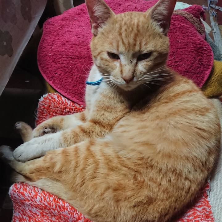 49671c94 dda3 4137 86bb 2564b0eddb6a 1555803713892