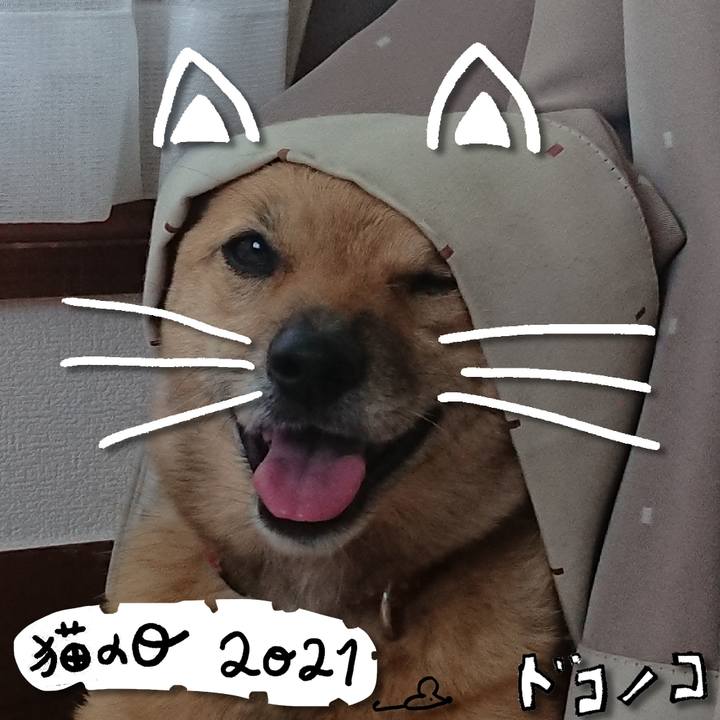 496724a5 3118 4ac2 95fd fb1aeb00acc1 1613970434032